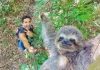 Las selfies con los animales silvestres también serían #crueldadanimal