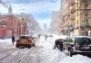 2018 y su clima extremo ¿Cómo ayudar a evitar mayor alteración?