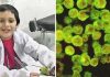 Confirman primera víctima mortal de una ameba “come cerebros” en Argentina