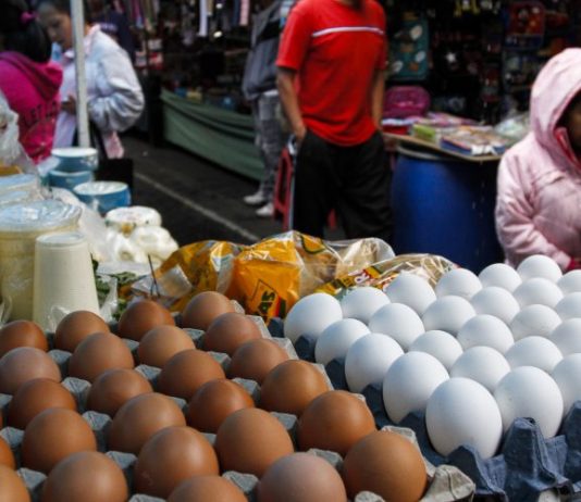 A más de 50 millones de mexicanos el salario no les alcanza para comprar una canasta alimentaria