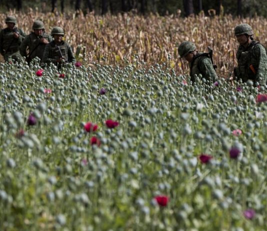 Las tres amenazas del narco en la Sierra de Guerrero