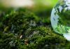 ¿Por qué gobiernos anteriores autorizaron proyectos que dañaron a la naturaleza?