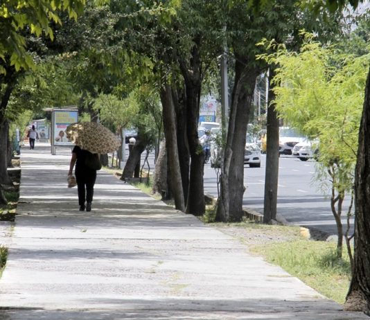En Torreón no paran las actividades pro Medio Ambiente