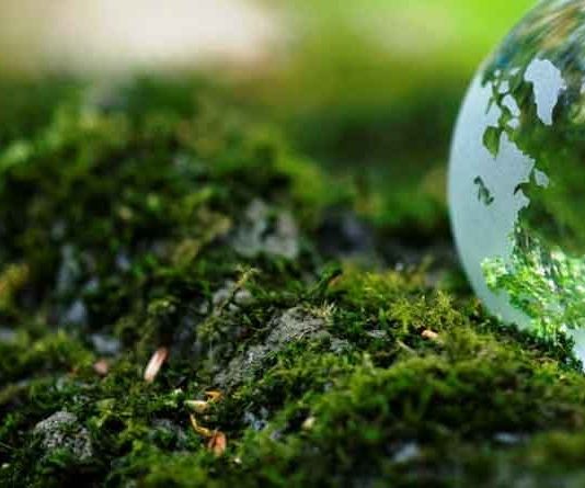 Proponen mayores sanciones para quienes dañan el medio ambiente