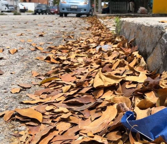 OJO: Los cubrebocas y guantes también son una amenaza para el medio ambiente