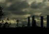 Nos pasa factura en salud humana el descuidar el medio ambiente