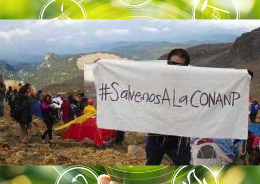Jóvenes apoyados por organizaciones contra el recorte presupuestal al sector ambiental