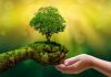 Celebrando el Día Mundial del Medio Ambiente 2020