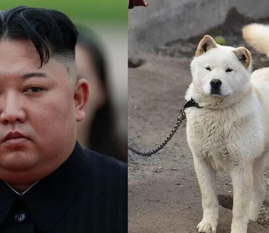 Inaudito: Kim Jong-un ha prohibido los perros como mascotas