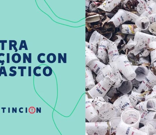 Aprendamos a ser solidarios con el medio ambiente a través de proyectos