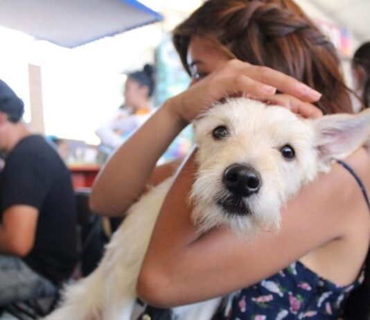 Secretaría del Medio Ambiente y su registro de mascotas