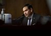 Marco Rubio, senador norteamericano, dice que AMLO apoya a tiranos