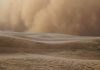No fue sólo viento, ¿cómo llegó una nube de polvo del Sahara a la CDMX?