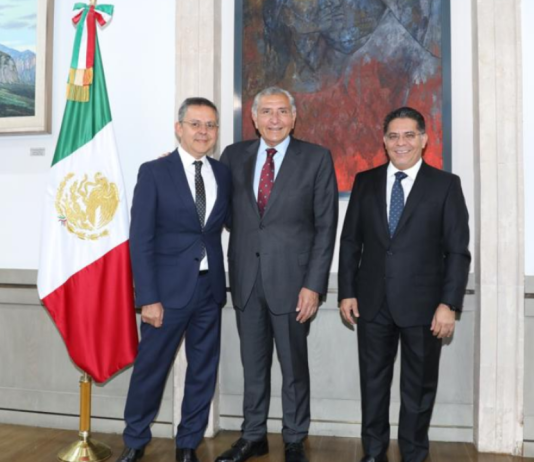 Va Rabindranath Salazar a Coordinación General de Política y Gobierno en Presidencia