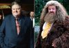 Para los fans de Harry Potter: Fallece el actor Robbie Coltrane