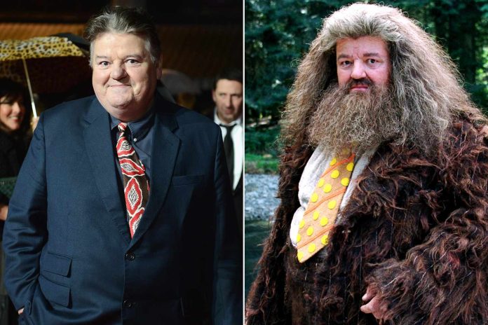 robboe-coltrane-hagrid-harry-potter-101422-422694ffce0d42129084689ac6797139