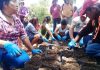 85% de la población indígena trabaja en el sector informal