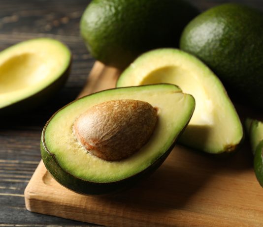En nombre del aguacate: la deforestación en Michoacán