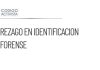 Reconocen rezago en identificación forense de fallecidos en el país
