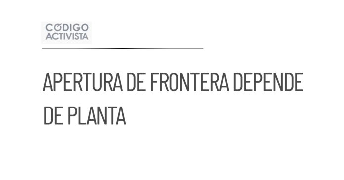 Apertura de frontera para ganado dependerá de planta en Chiapas