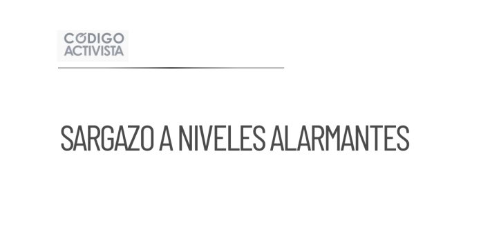 Aumenta drásticamente la presencia de sargazo en el Caribe