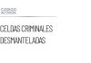 Desmantelan dos celdas criminales vinculadas al huachicol