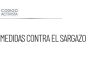 Incrementan medidas contra el sargazo en Quintana Roo