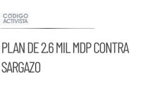 Nuevo plan de 2.6 mil mdp para combatir el sargazo en QR