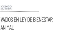 Semarnat reconoce vacíos en la ley de bienestar animal