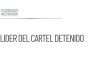 Detienen a líder del Cártel de Los Reyes en Michoacán